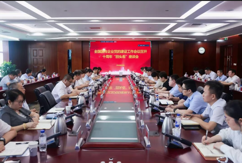中国化学天辰公司召开全国国有企业党的建设工作会议十周年“回头看”座谈会