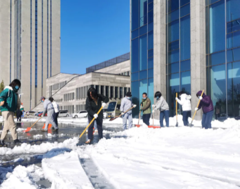 “我为群众办实事”系列报道(35)|群众利益无小事 一枝一叶总关情